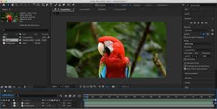 

تحميل Adobe After Effects

